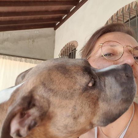 La Taverna Διαμέρισμα Mesola Εξωτερικό φωτογραφία